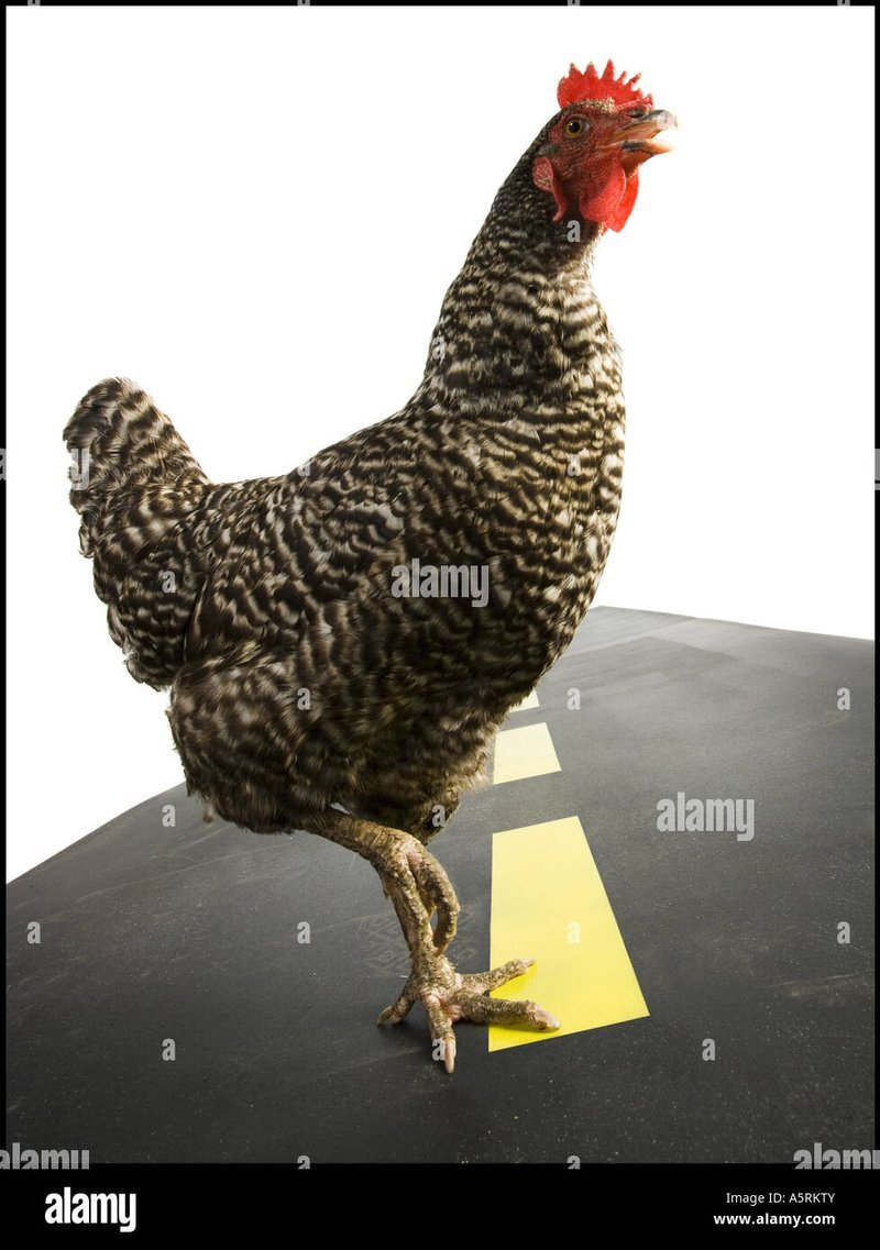 Best chicken road casino in Netherlands