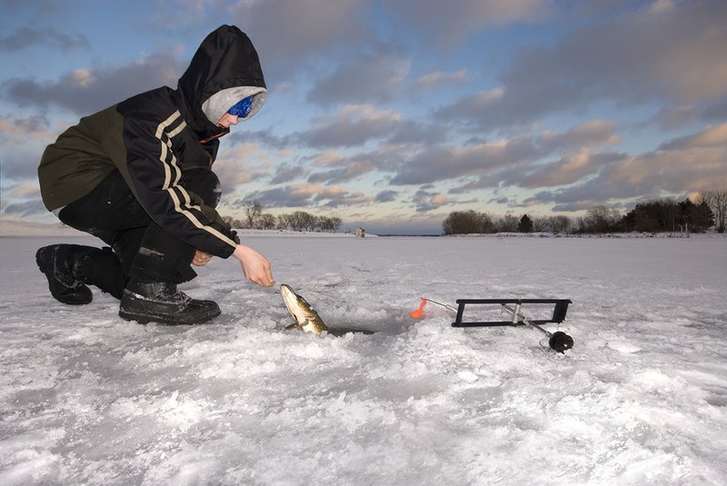 Experience the Thrill of Ice Fishing at UK's Top Live Casinos Online